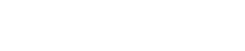 SV Investment